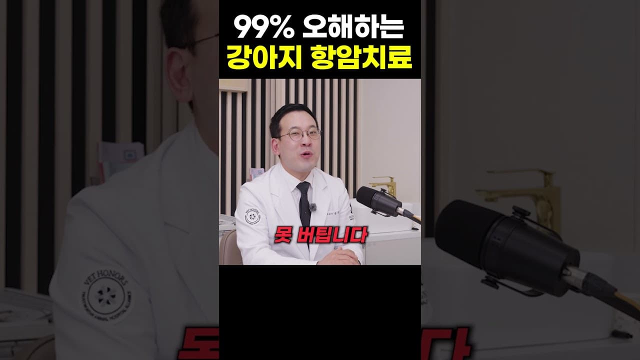 강아지 항암치료, 고통스러운 시간만 늘어나는 걸까