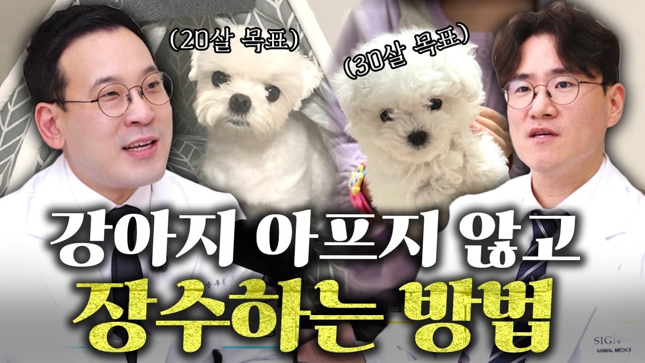 강아지 혈액검사 빨간불, 수치만 보고 약 먹이면 생기는 일