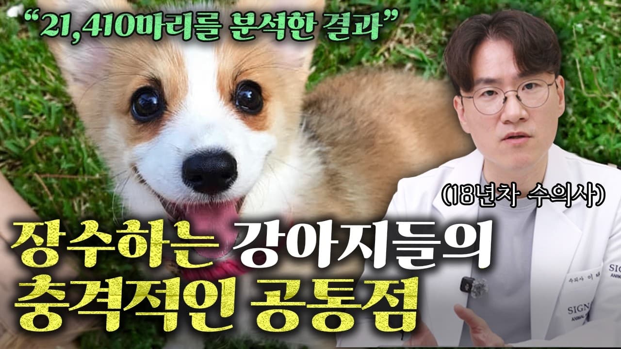 강아지 오래 살게 하려면 부자보다 다견 가정이 낫다?. 우리 강아지가 안 아프고 오래 살기를 바라는 것은 모든 반려인의 마음이다.